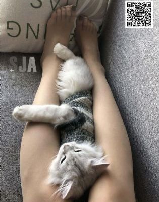 长津湖之水门桥免费观看_欧美成人在线